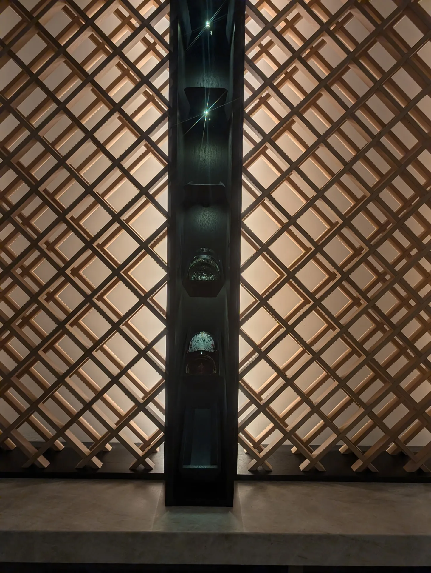 View 5 - The Palm Desert Modern Vault